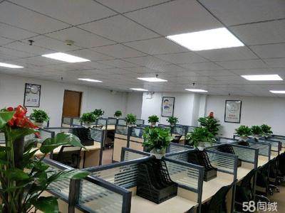 茂名市天弘商务信息咨询 专业信息服务助力企业发展